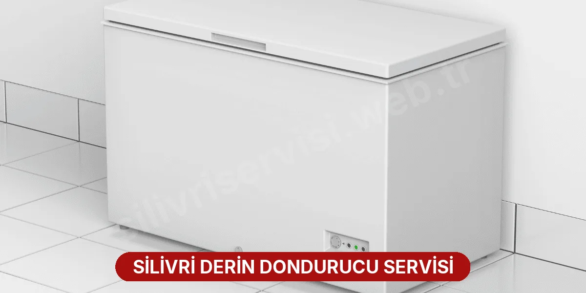 Silivri Derin Dondurucu Servisi