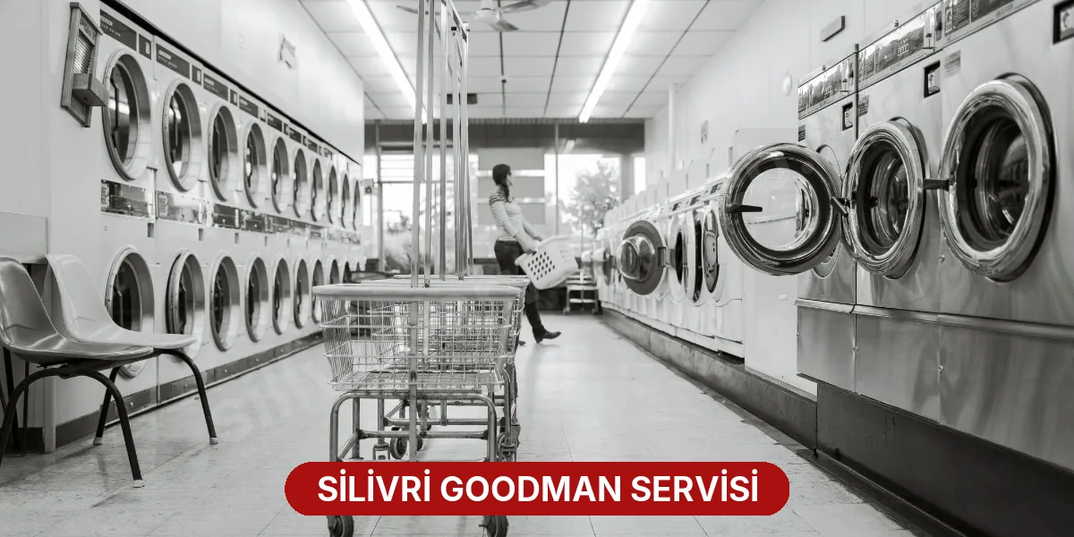 Silivri Goodman Servisi