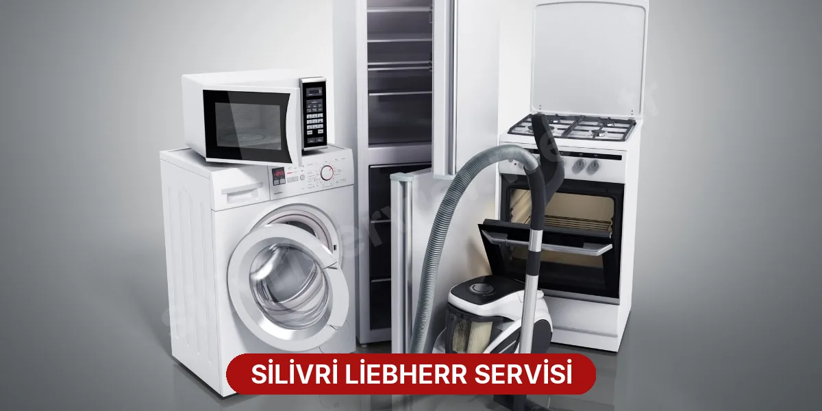 Silivri Liebherr Servisi